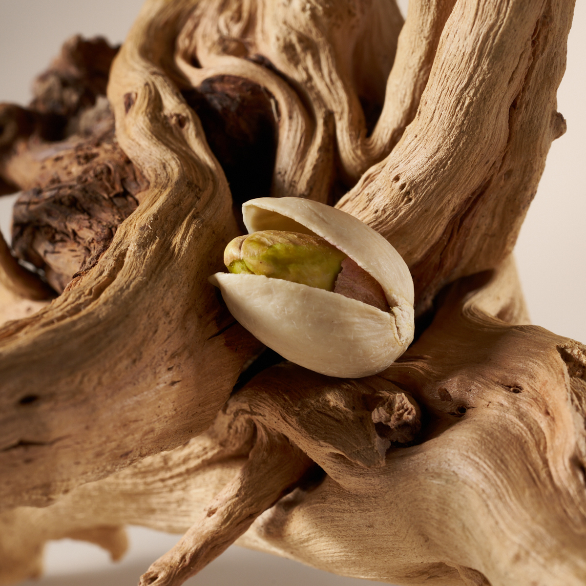 Pistachio Voodoo Child