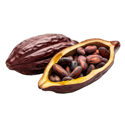 MEXICAN CACAO