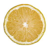 Californian Lemon
