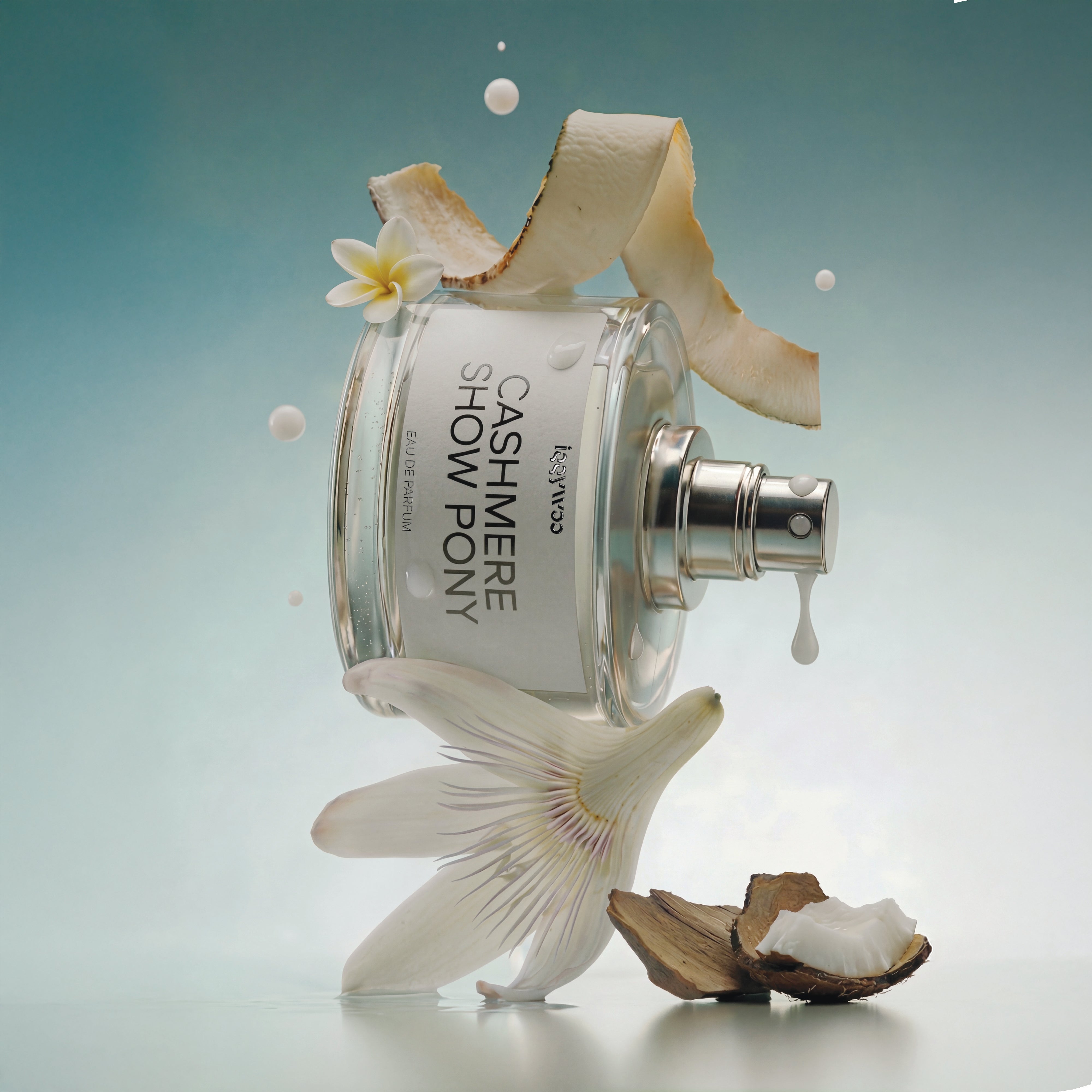 CASHMERE SHOW PONY – IGGYWOO