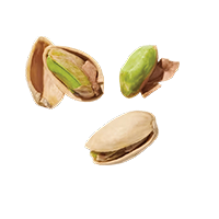 Pistachio Accord