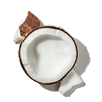 Toasted Coconut