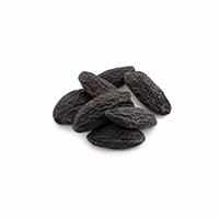 Tonka Bean