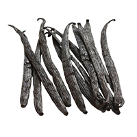 Vanilla Bean
